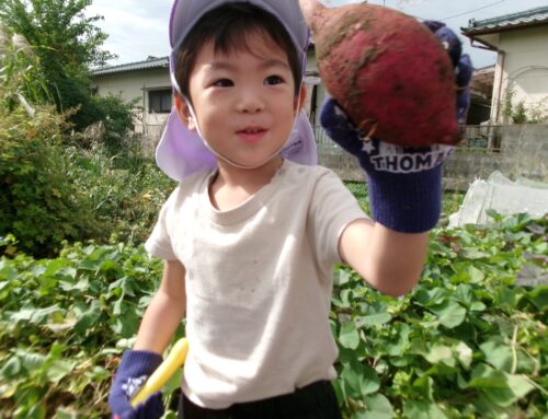 2024年度 芋掘り会